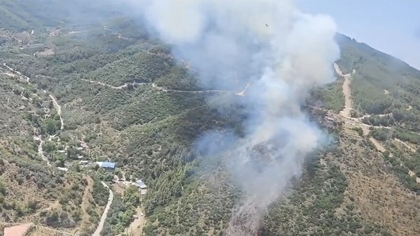 İzmir ve Kütahya'da Orman Yangınlarına Müdahale Devam Ediyor