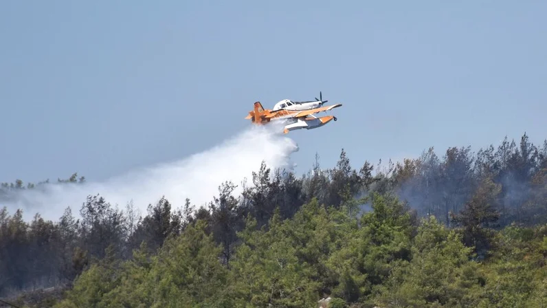 Orman Yangınları İçin Kritik Dönem Uyarısı: Meteorolojik Avantajlar ve İnsan Kaynaklı Riskler