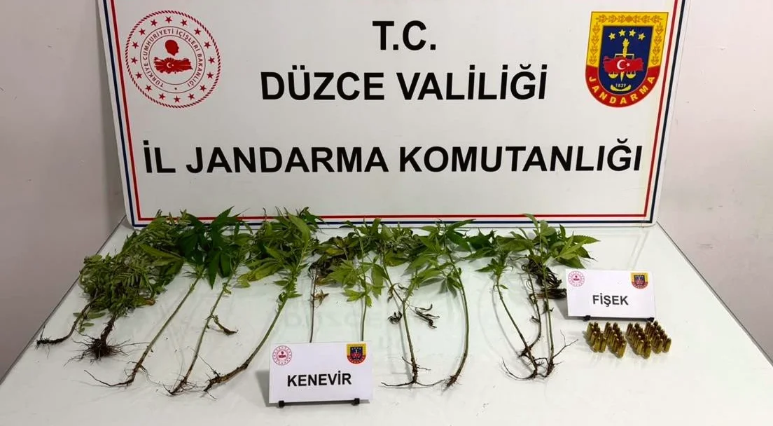 Düzce'de Jandarma Uyuşturucu Operasyonu Gerçekleştirdi