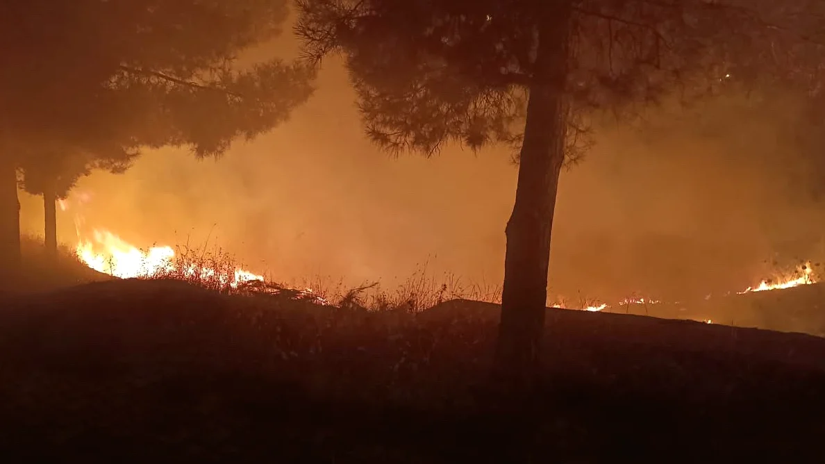 Siirt'te Mezarlıkta Yangın, İtfaiye Ekipleri Müdahale Etti