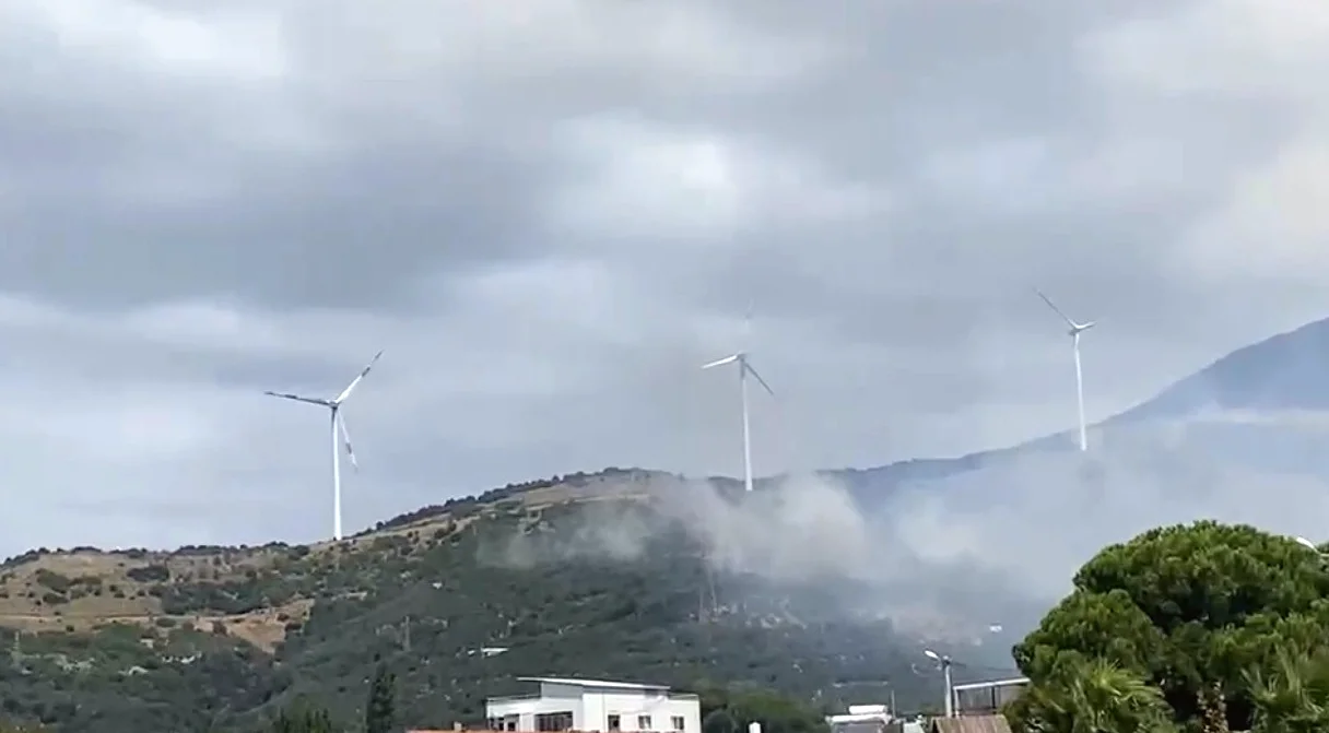 Narlı Mahallesi'ndeki Orman Yangınına Müdahale Devam Ediyor