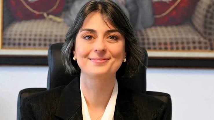 Avrupa Demokratları'ndan Sinem Dedetaş'ın Gözaltına Alınmasına Tepki