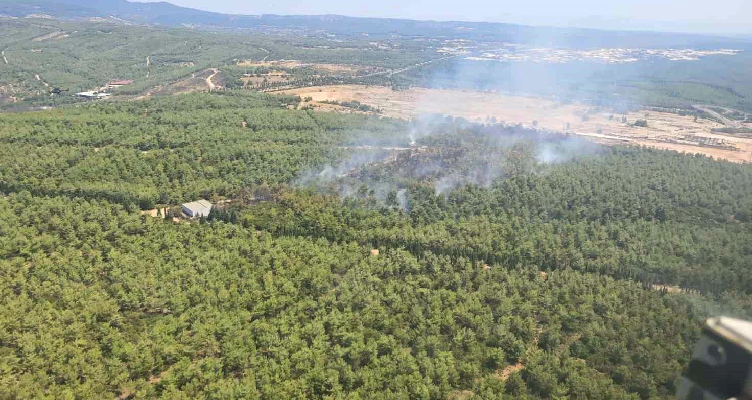 İzmir'de Orman Yangını Zamanında Kontrol Altına Alındı