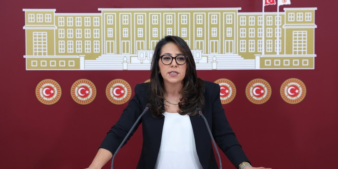 TİP'li Sera Kadıgil'den Özgür Özel Mesajı: 'Siz Onu Verecek Misiniz?'